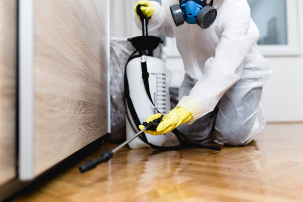 Best Pest Control Near Me in Lock Haven, PA