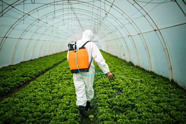 Best Pest Control Treatment  in Lock Haven, PA