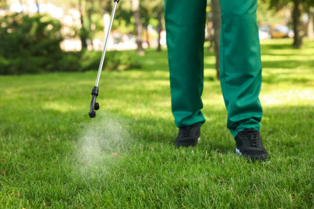 Reliable Lock Haven, PA Pest Control Solutions