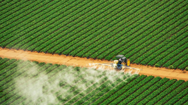 Best Mosquito Control Services  in Lock Haven, PA