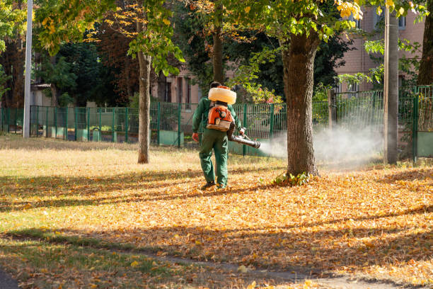 Best Pest Inspection Near Me  in Lock Haven, PA